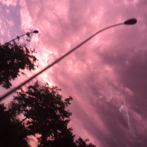 王秋儿蕾丝三角裤跳钢管舞
