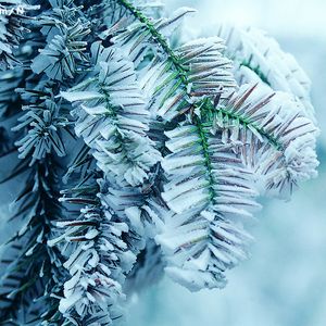 王秋儿蕾丝三角裤跳钢管舞
